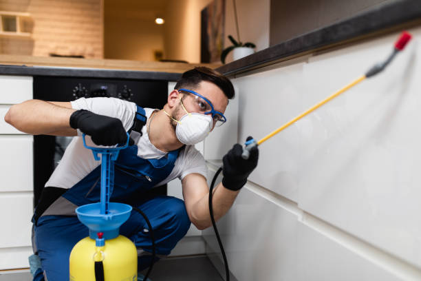 Best Best Pest Control Companies  in Belle Rose, LA