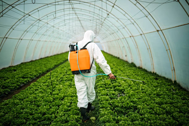 Best Mosquito Control Services  in Belle Rose, LA