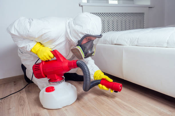 Best Bed Bug Extermination  in Belle Rose, LA