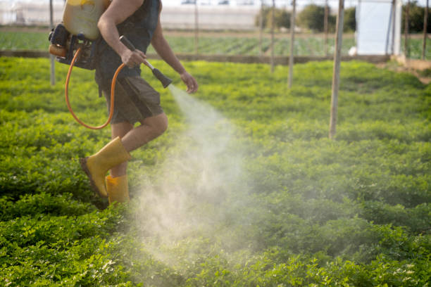 Best Commercial Pest Control Services  in Belle Rose, LA