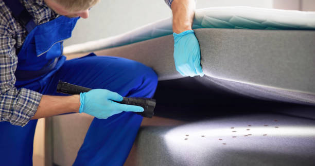 Best Best Pest Control Near Me  in Belle Rose, LA
