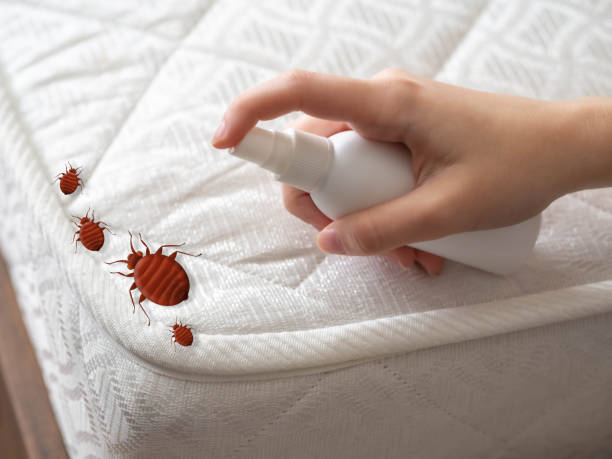 Best Best Pest Control Companies  in Belle Rose, LA